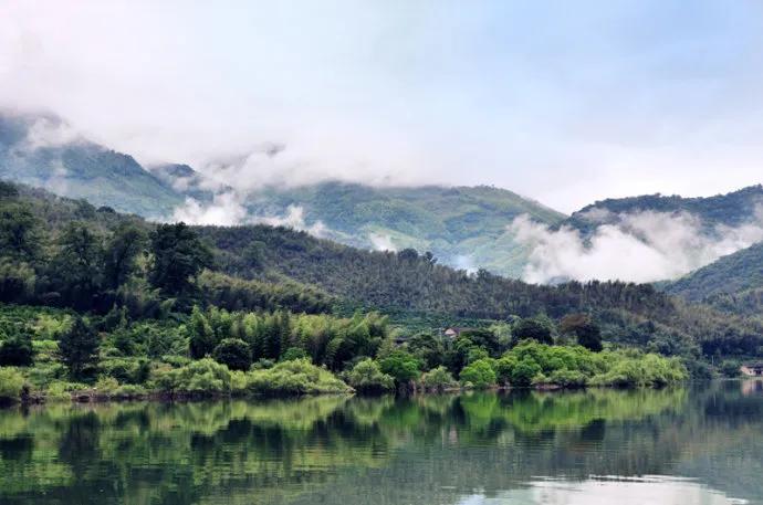 以一个农民工的资态进军头条、崛起于当代文坛。种菜致文学版