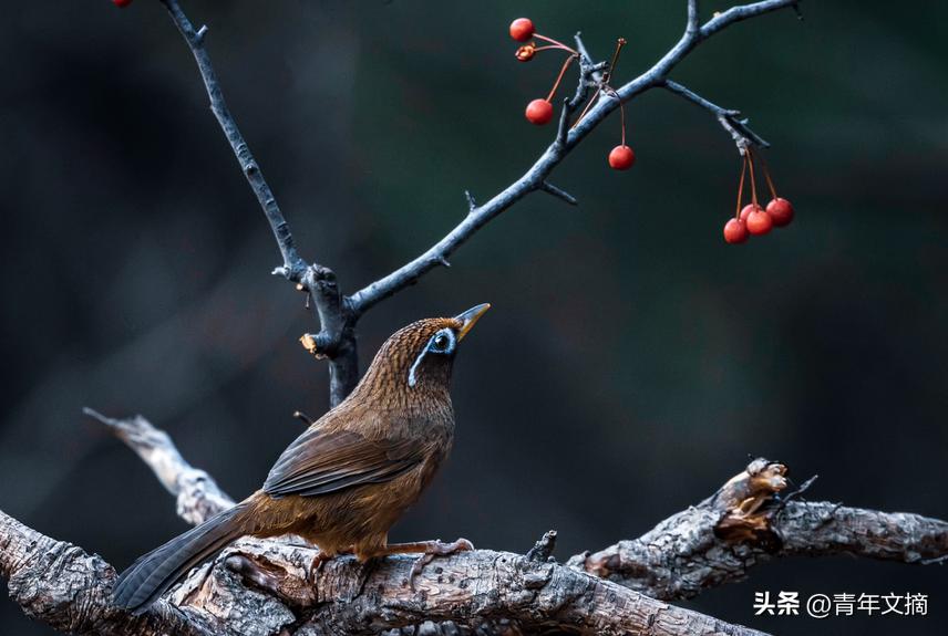 南京摘花被判刑,到底有多少人因为摘花被判刑了