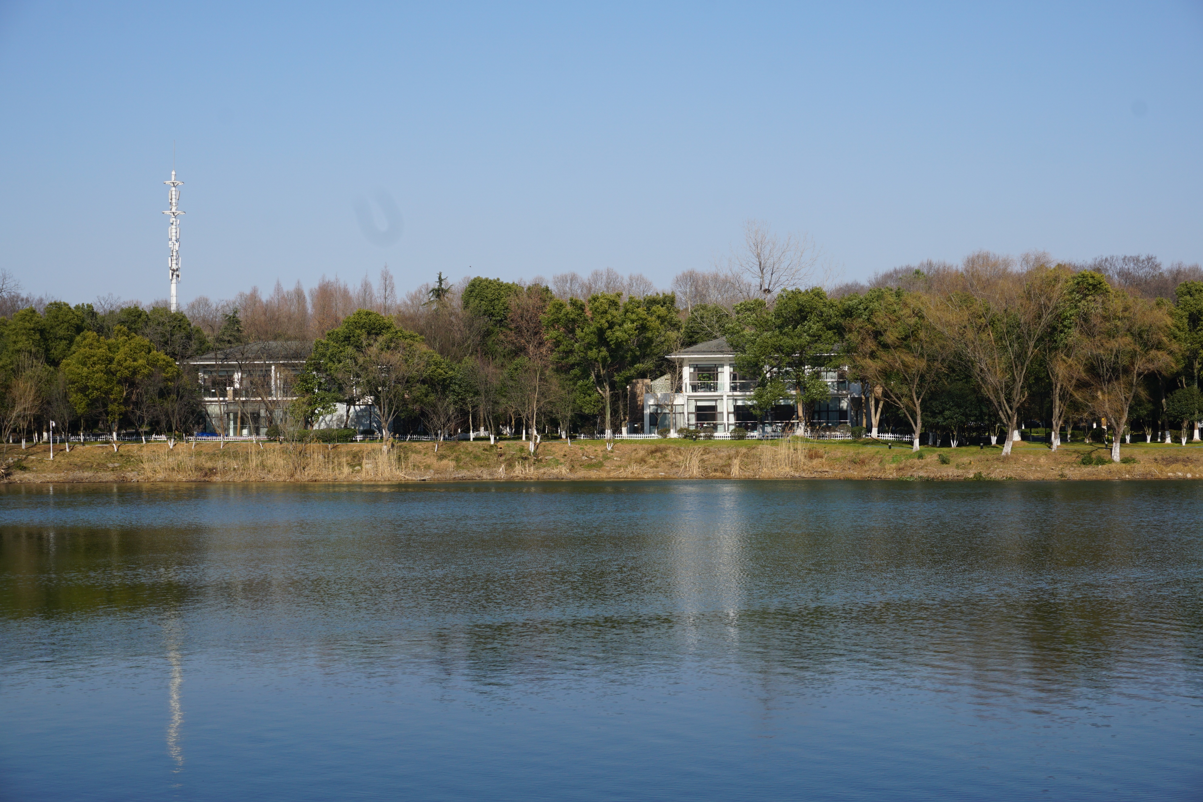 南京人看杭州,南京紫金山庄在哪里