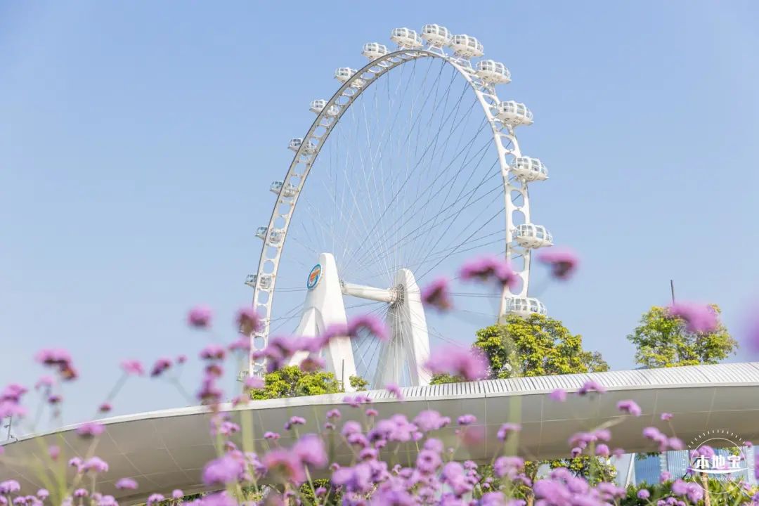 深圳免费好玩旅游景点排行榜前十,深圳十大好玩的景点推荐