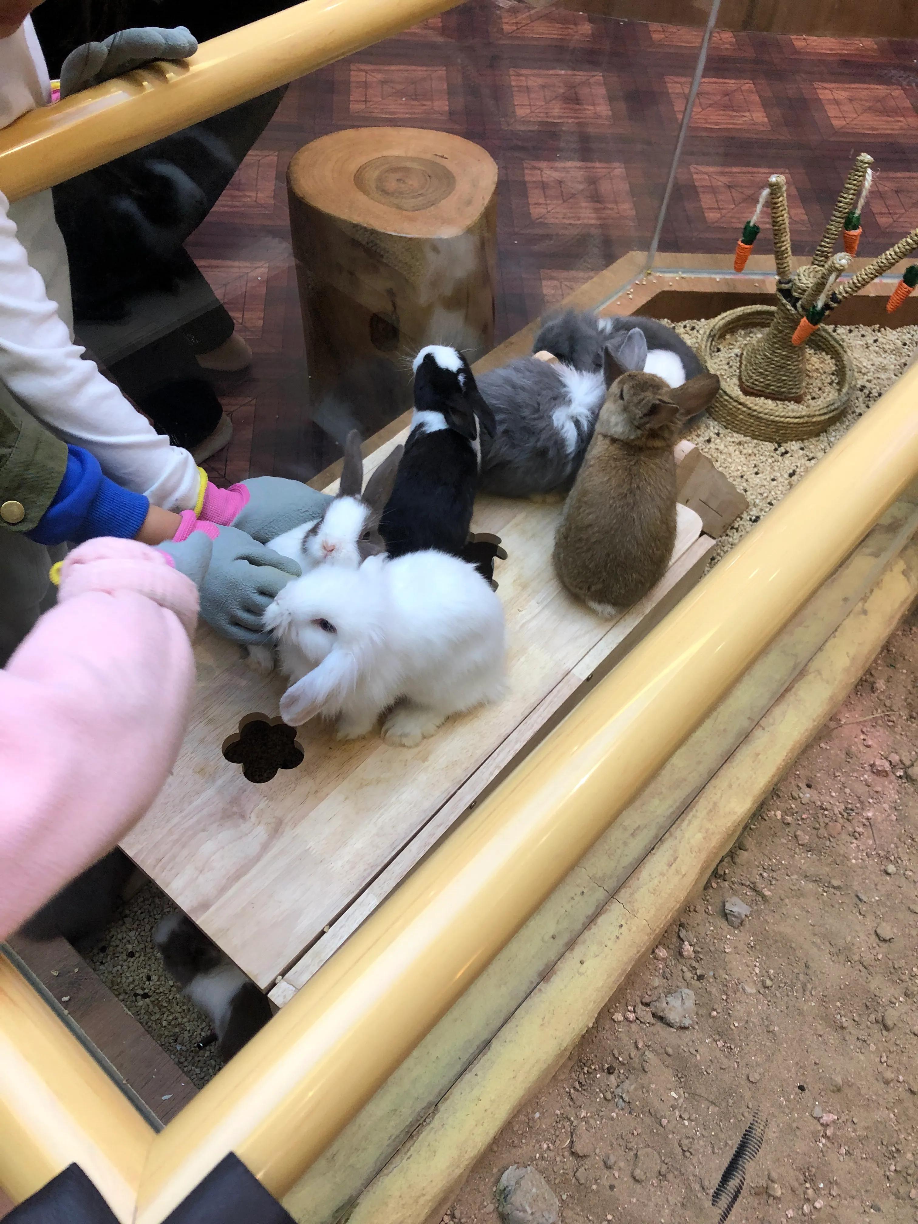 门头沟中骏世界城卡通尼Safari非洲探索乐园带闺女探店