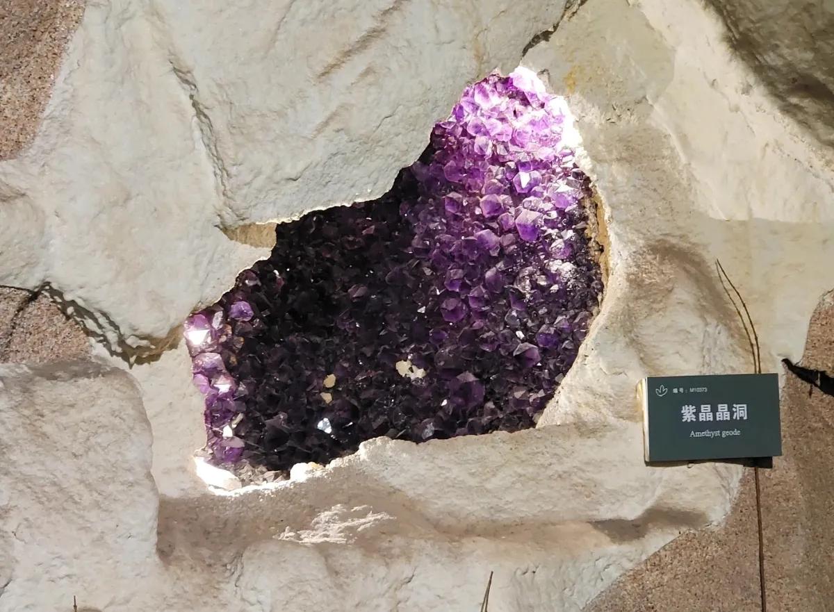 中国地质博物馆藏宝图,国家地质博物馆藏品