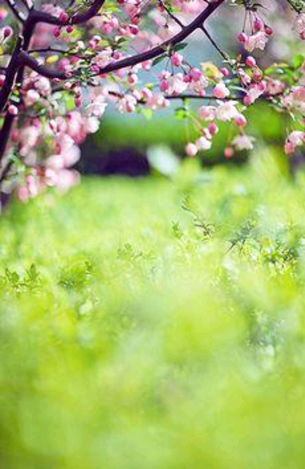 慢赏人生的风景散文,人生最好的风景散文