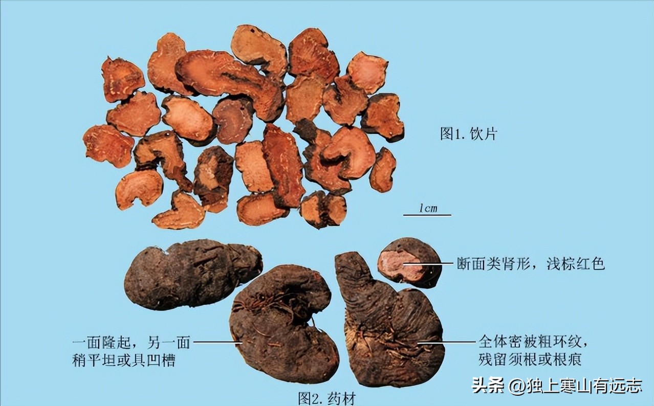 人参的种类和功效大全,人参第一名