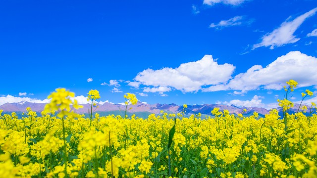 发生水灾时处于经期的女性该如何做好保护措施