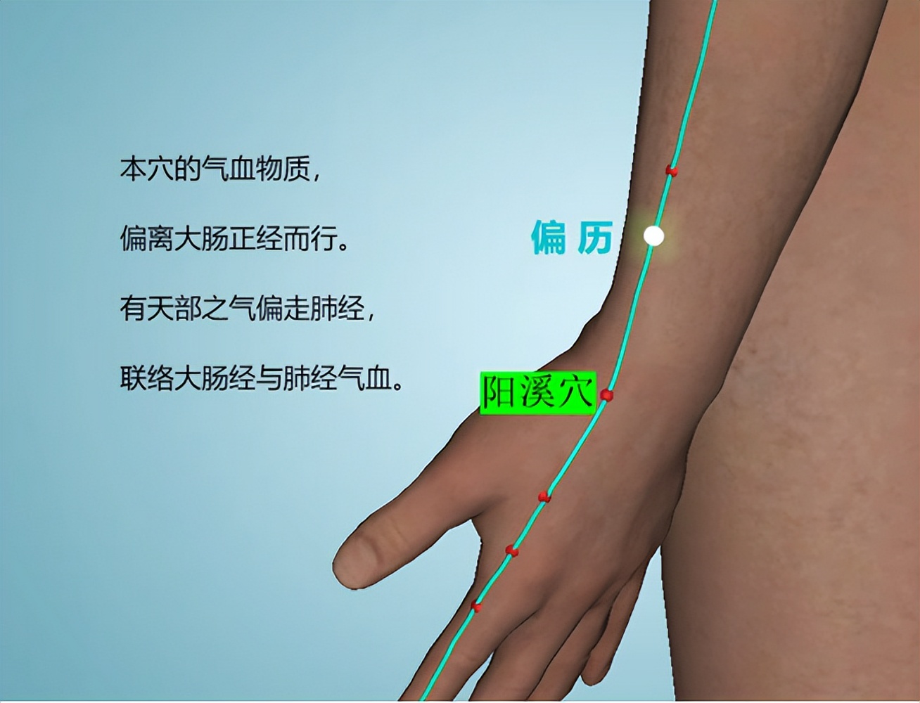 偏厉穴——龋齿牙痛特效穴