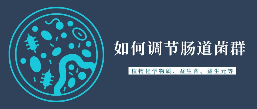 肠道健康与益生菌冷知识,调节肠道菌群吃什么益生菌