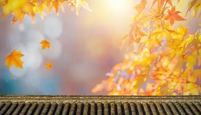 最美的秋天诗词100首,写秋天的绝美诗词大全