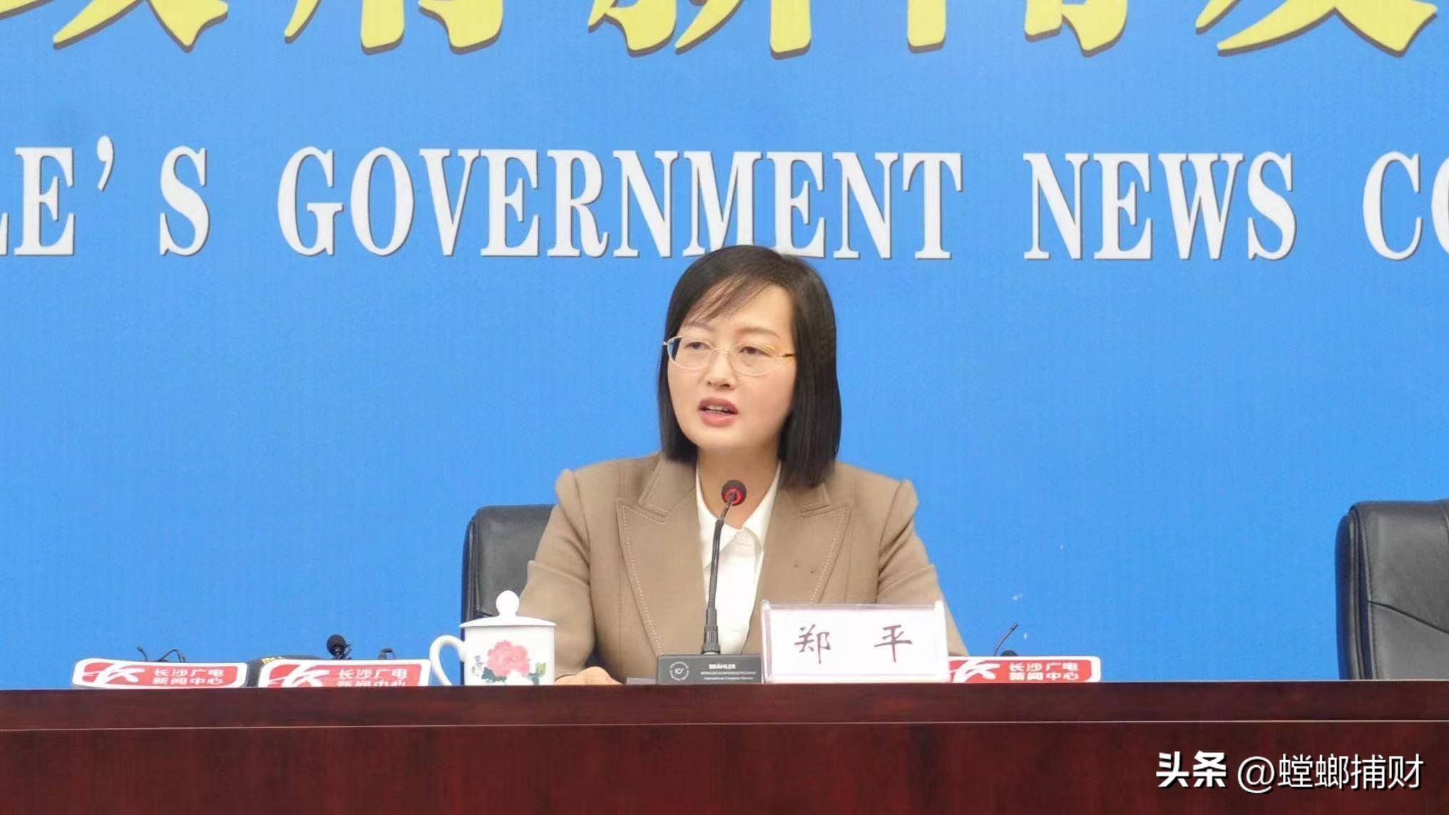 长沙市最新招商引资消息,十条新政湖南招商引资