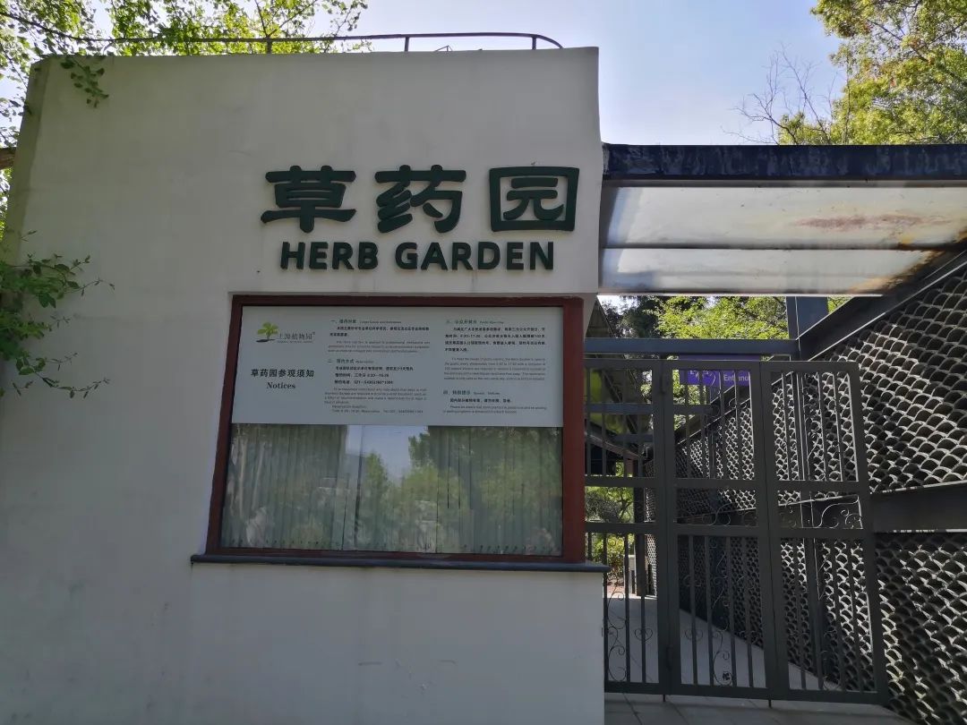 徐汇打卡景点有哪些好玩的,徐家汇游玩景点有哪些