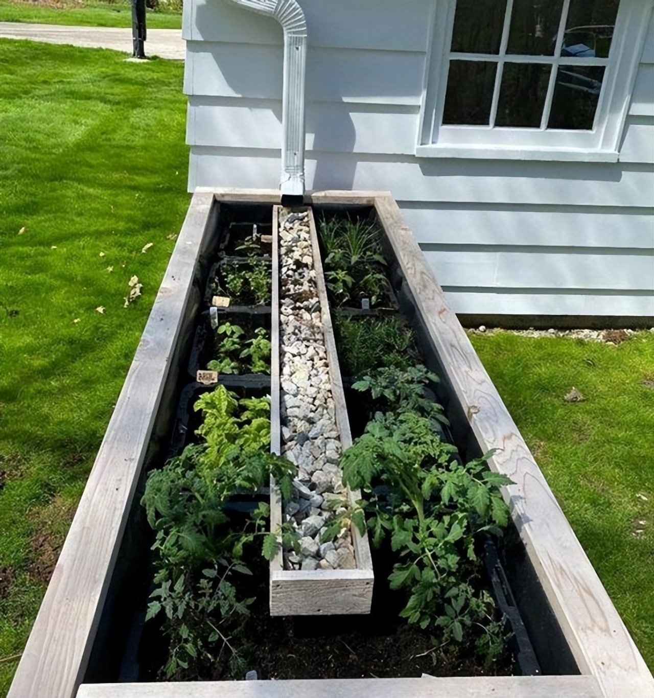 100个最佳生活小技巧图片,有趣的生活小妙招大全