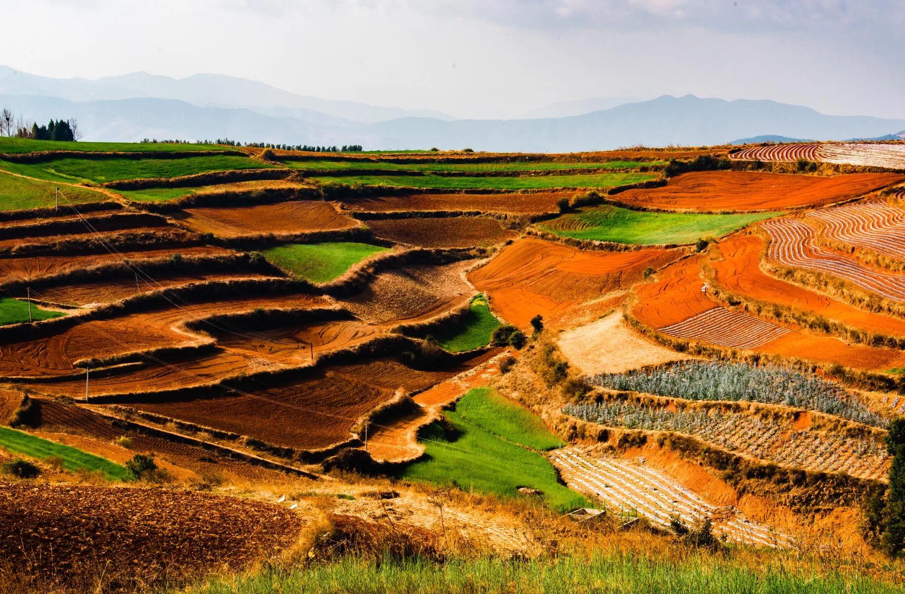 西双版纳10日行——走遍春夏秋冬，总会有人四季等你。