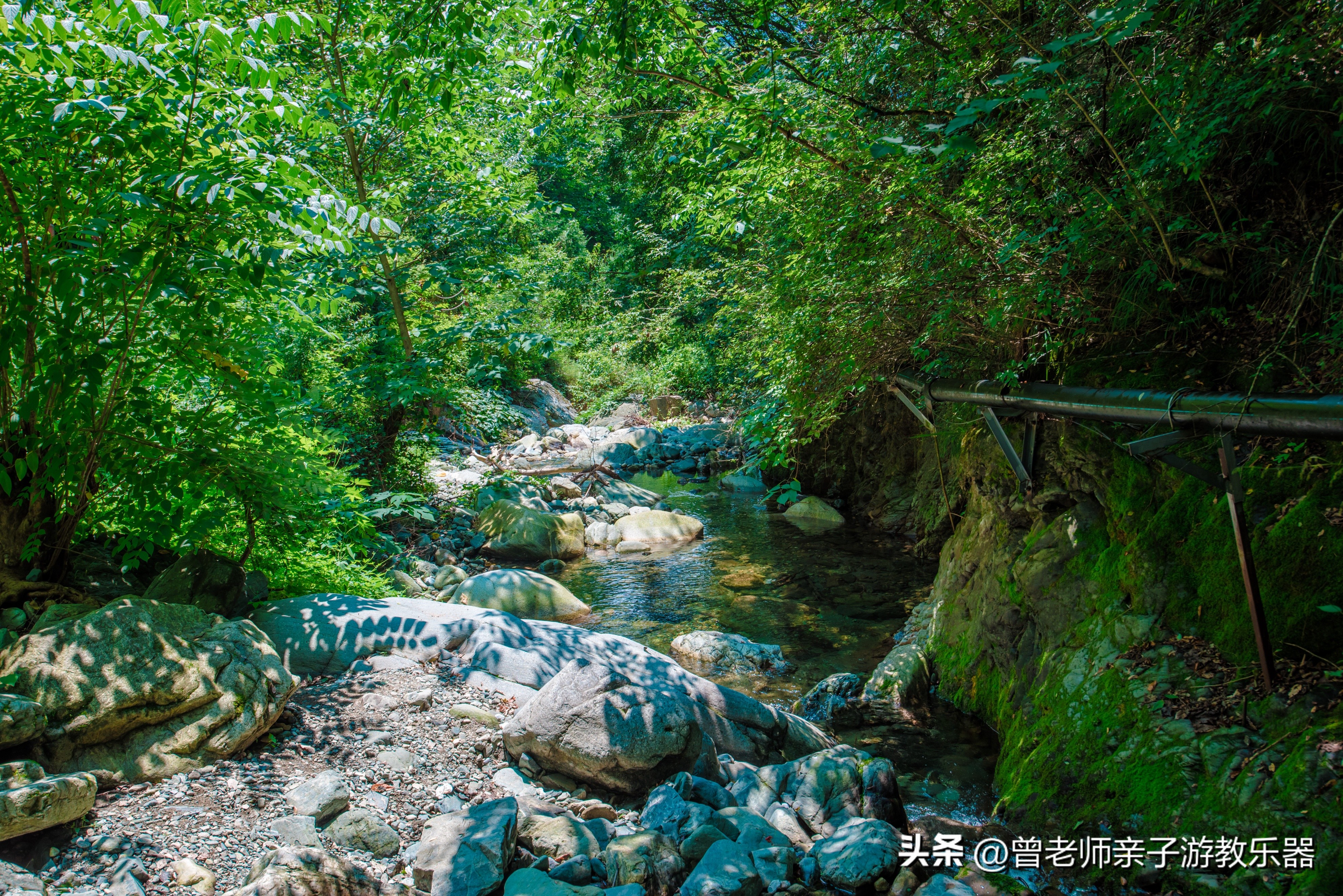 西安旅游景点免费推荐一日游攻略,西安旅游必去景点推荐一日游免费