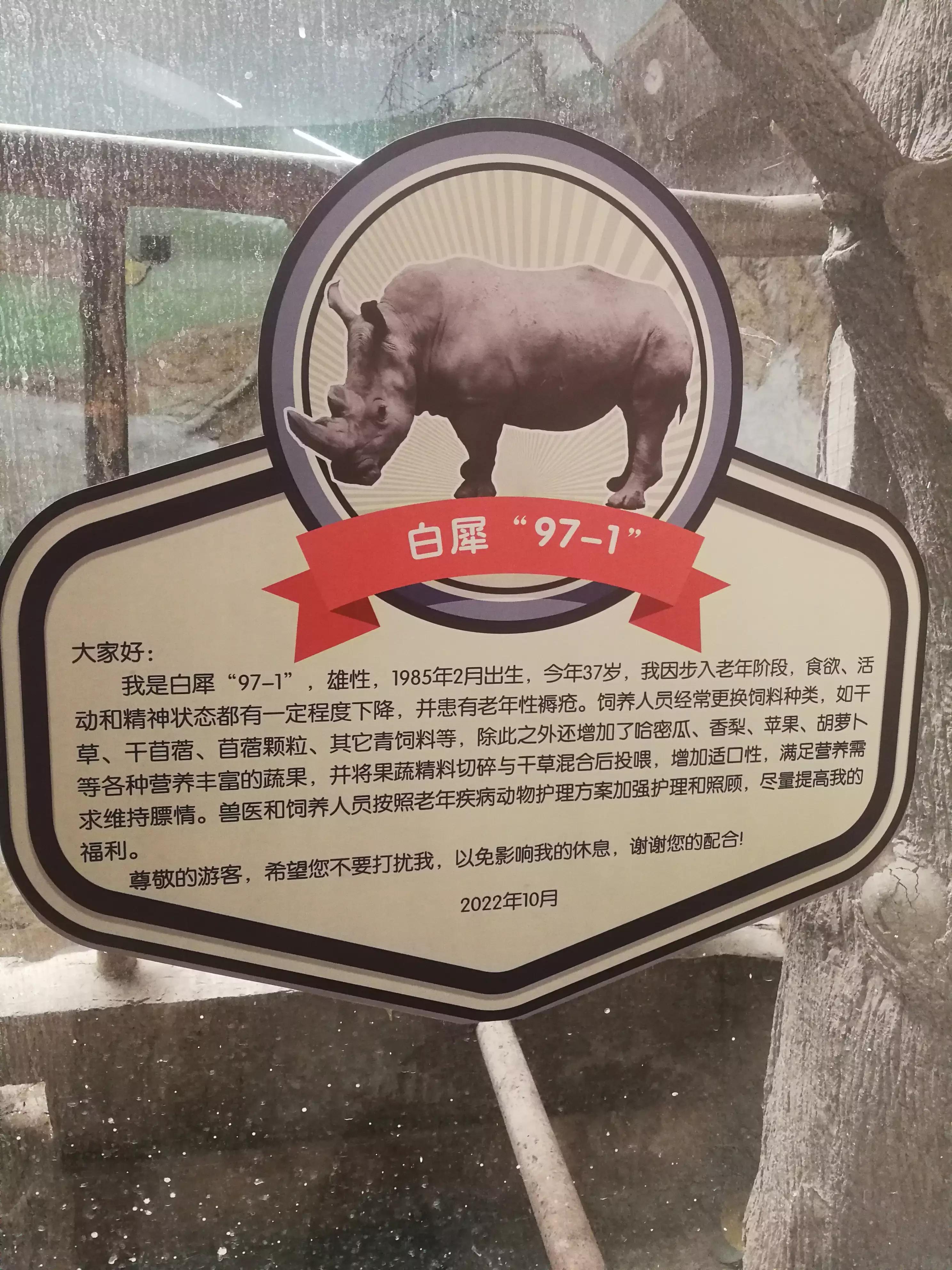 七月份的北京动物园人多吗,北京野生动物园二月动物多吗