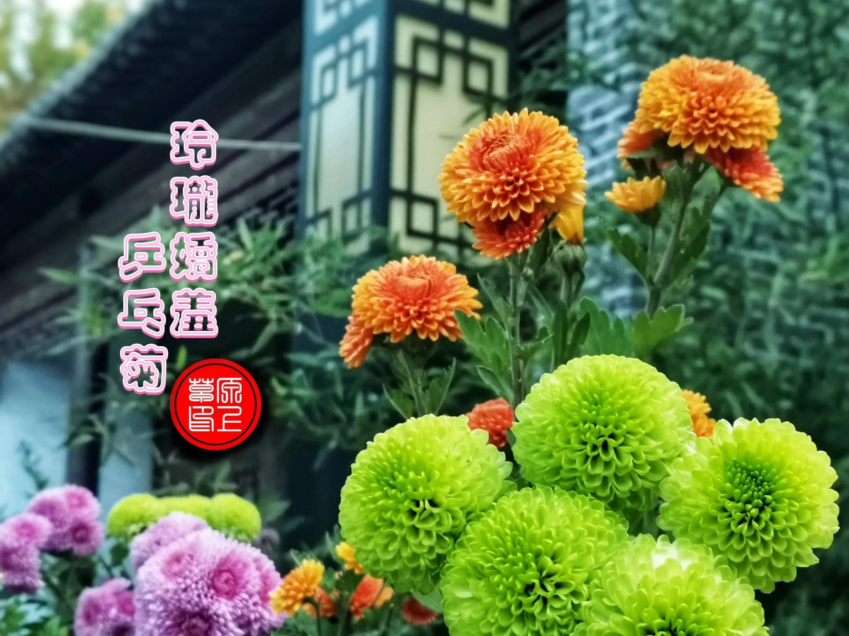 百花酿诗韵芬芳留人间（一）