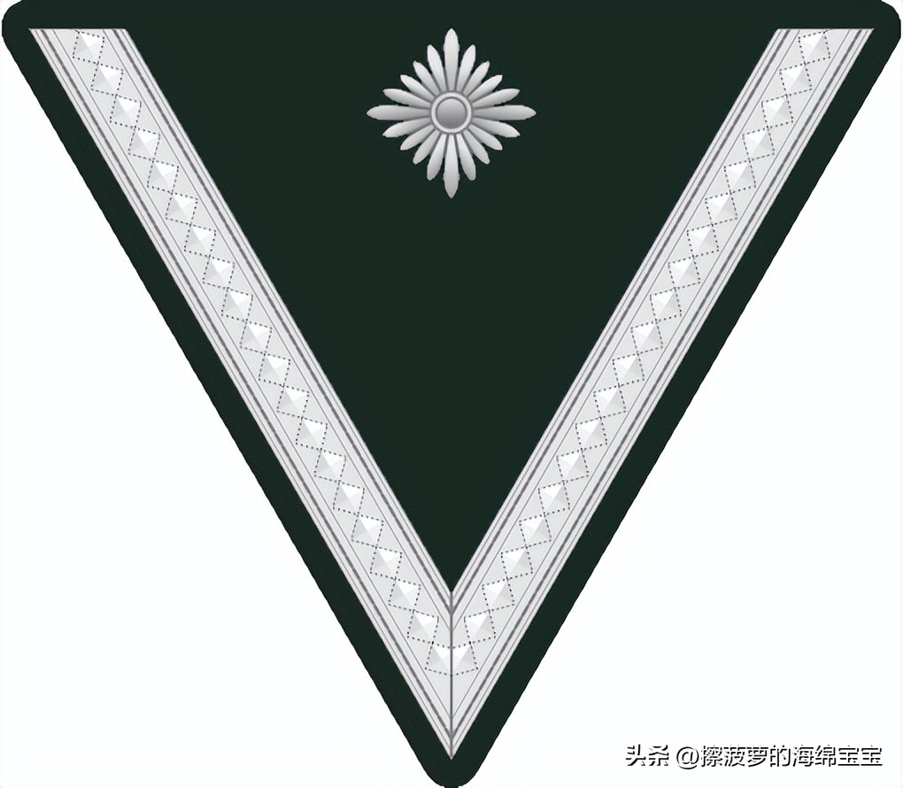 二战德国国防军医疗兵军衔标志