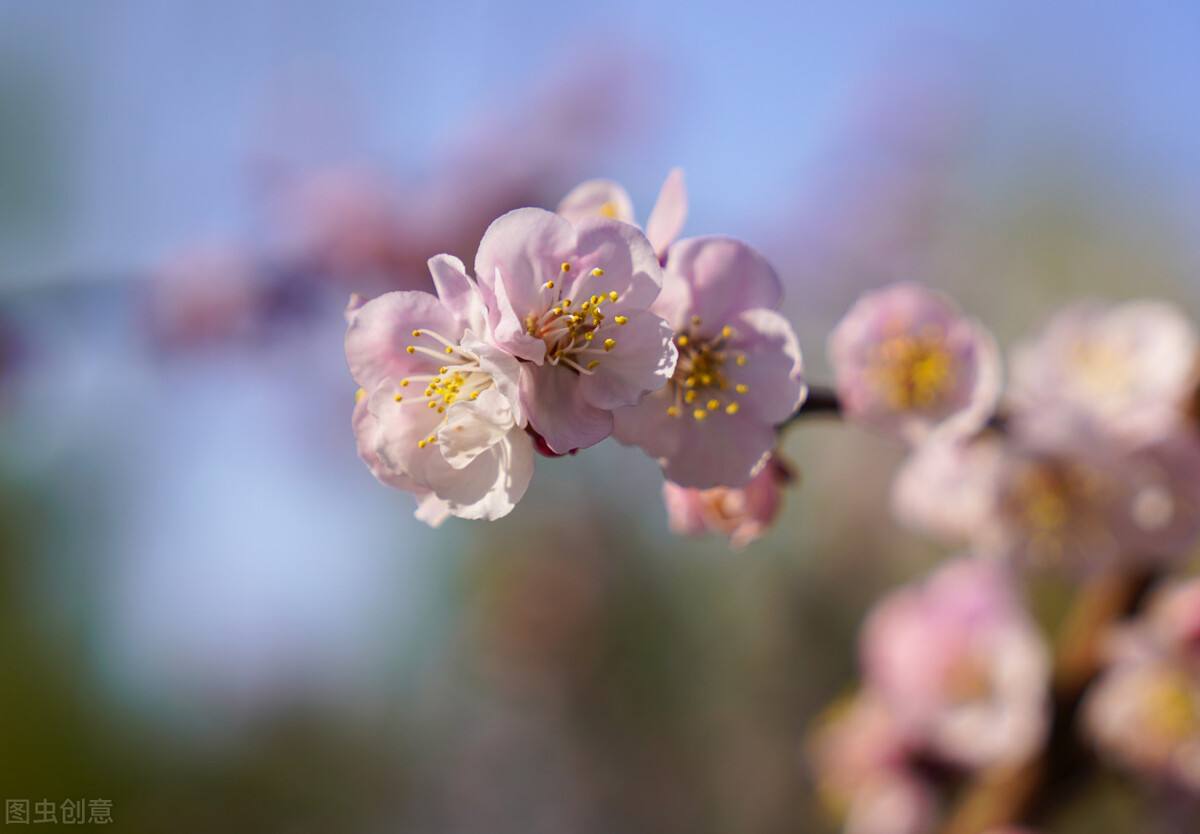 大多数老人退休后的现状,退休后老人的生活状态有哪些