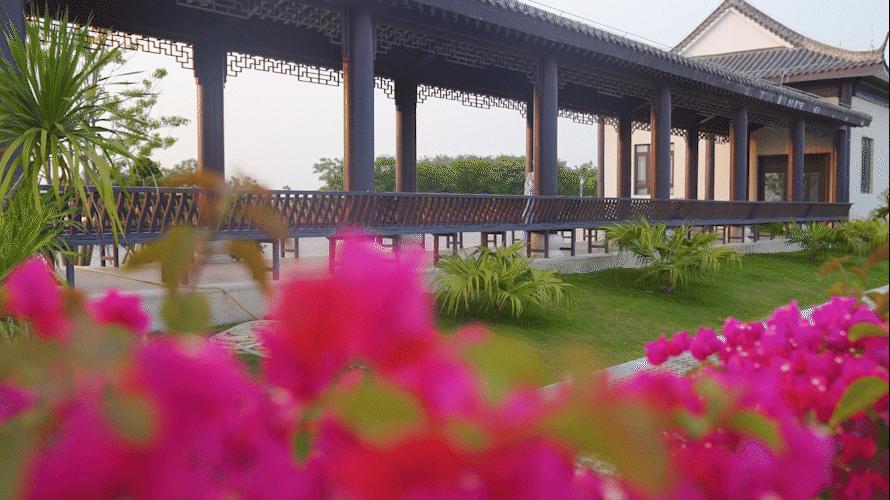 珠海湿地公园有什么好玩的,珠海的湿地公园都有哪些景点