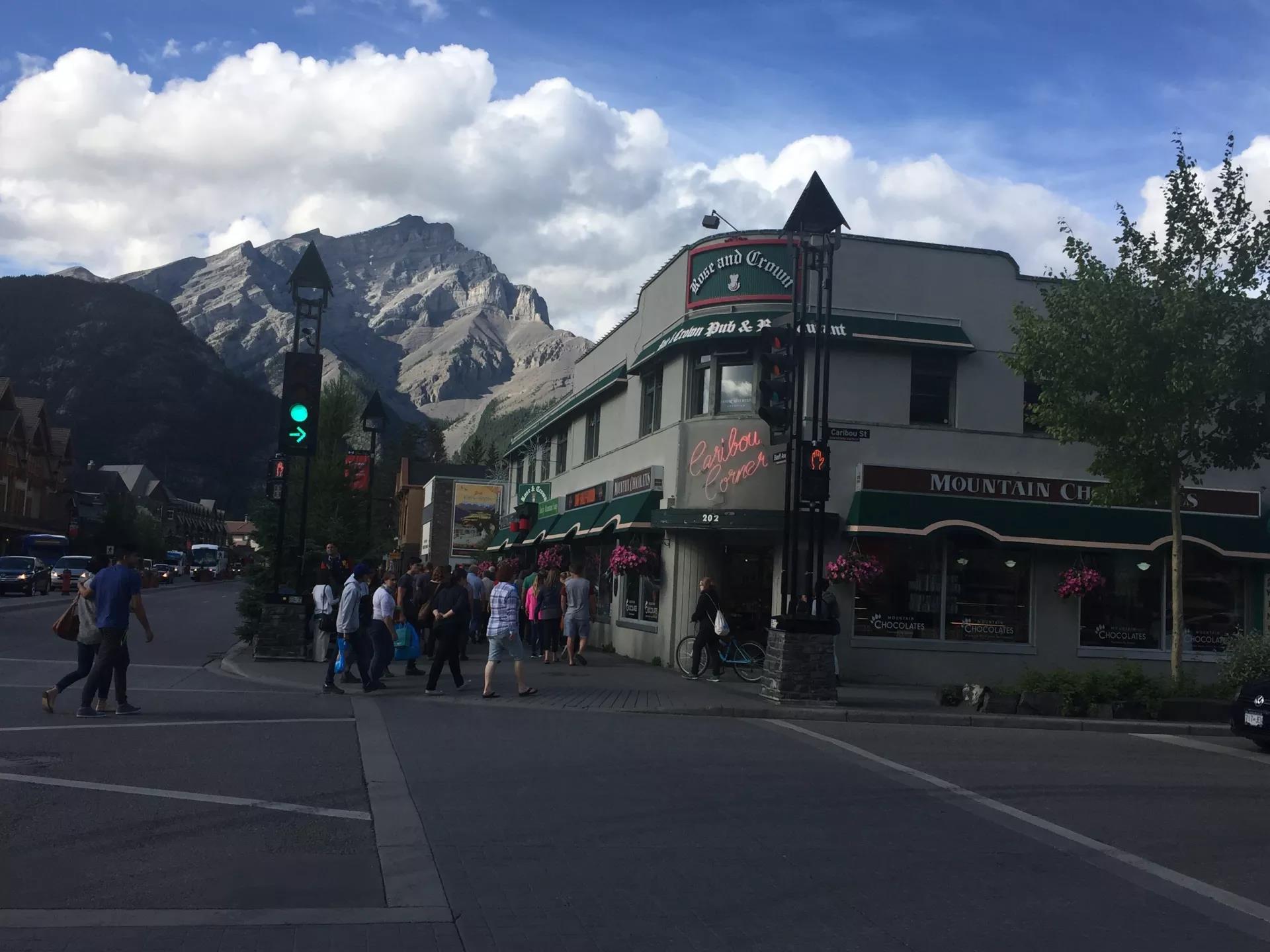 青岛如何带上猫猫去加拿大多伦多,钱猫猫加拿大之旅