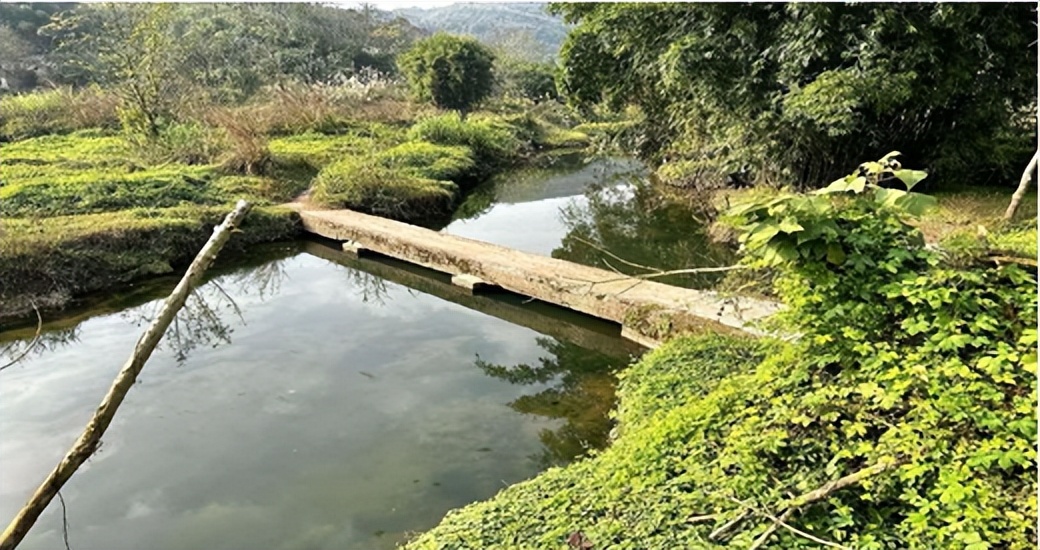 重庆故事20集,重庆往事真实故事