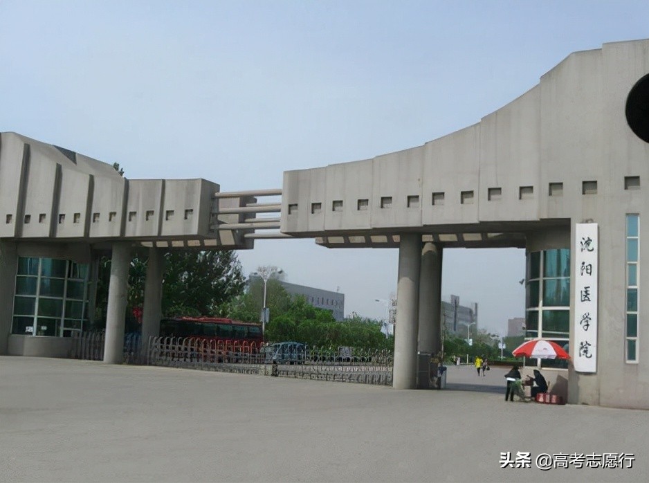 辽宁四大医学院校排名,辽宁省医学类院校都有哪些