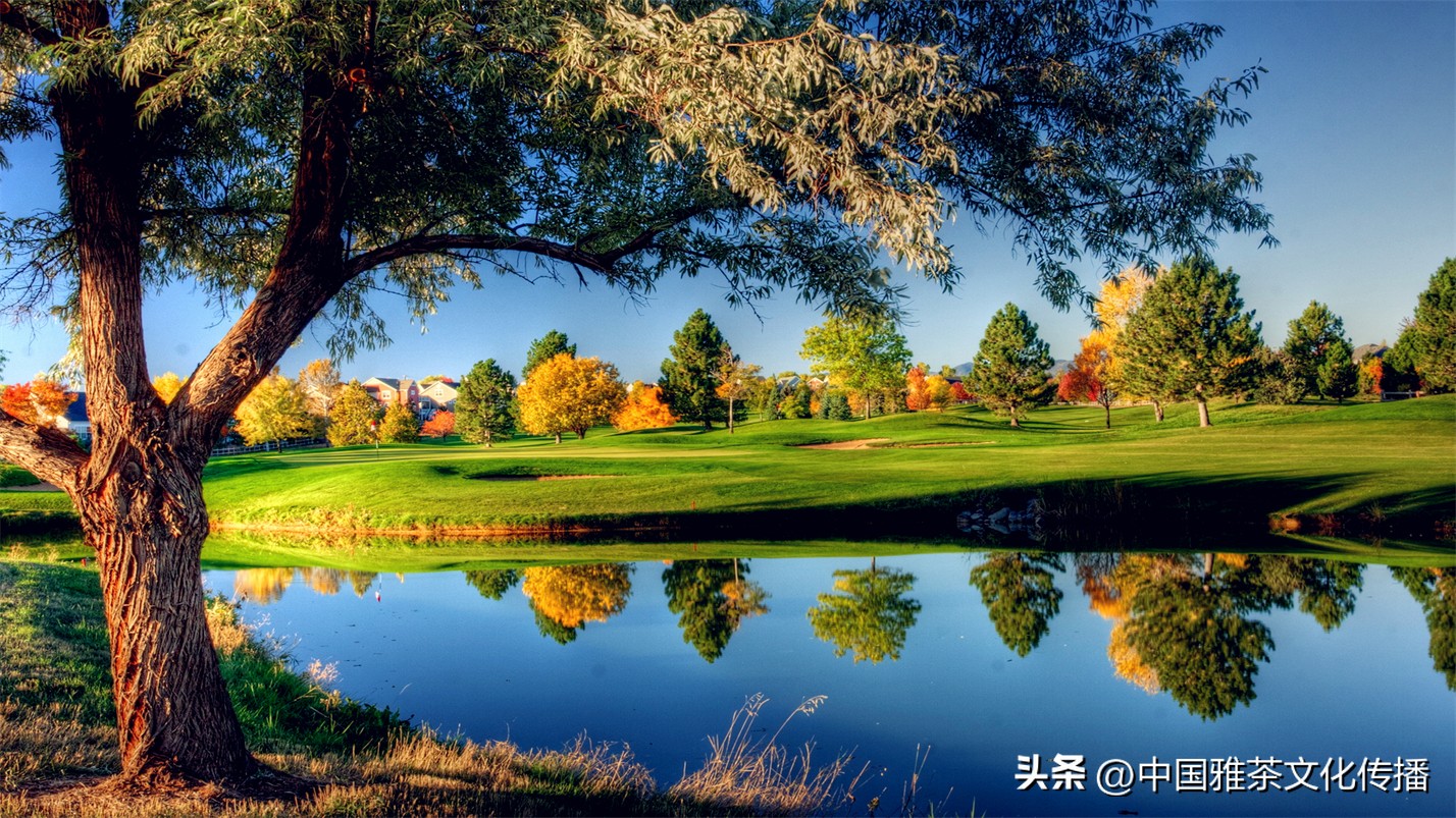 几缕茶香,一壶清茶几缕阳光几分优雅