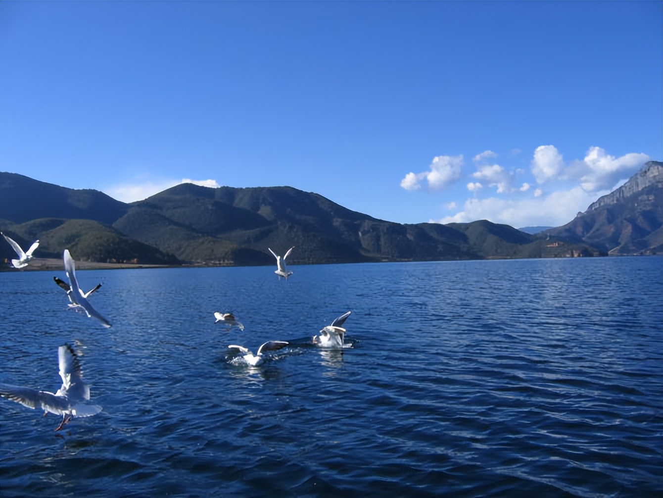 北城姑娘视频,北城女子