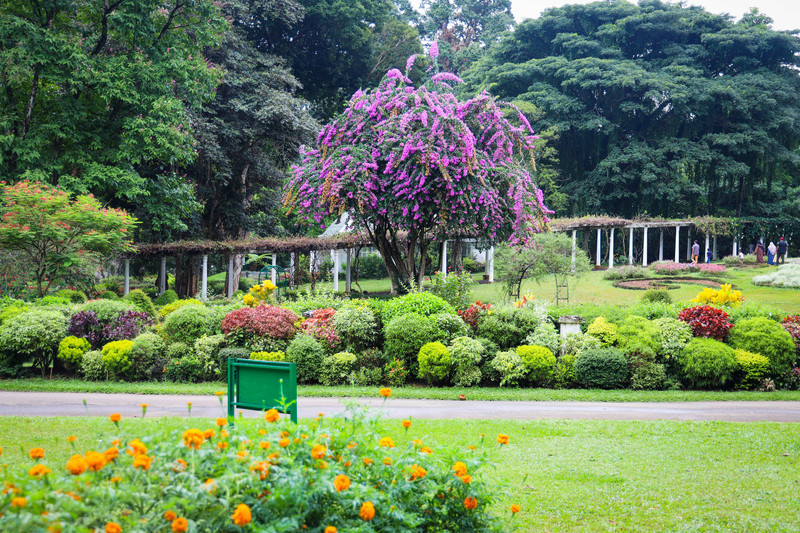 斯里兰卡旅游攻略必去景点,斯里兰卡最佳旅游攻略