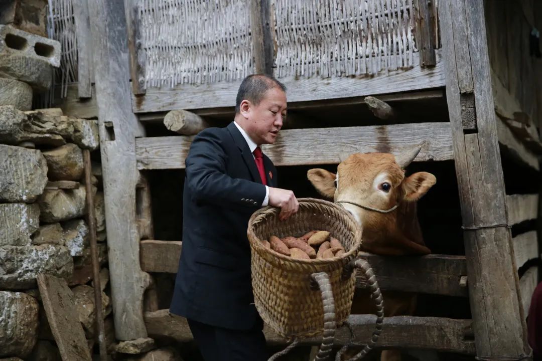西咸新区5部影视作品获评省重大文化精品扶持项目
