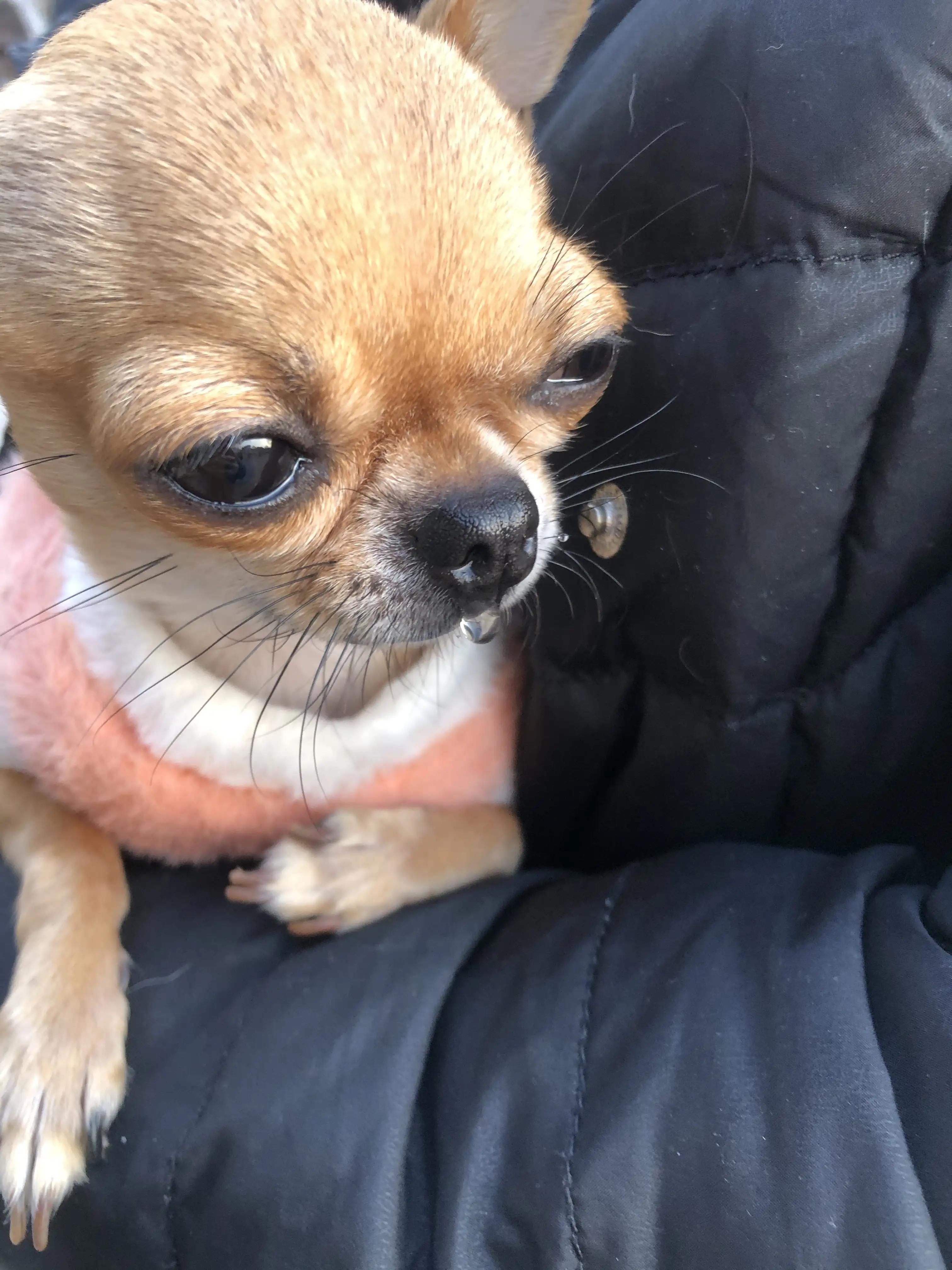 大胖小胖自驾游,房车自驾旅行三日游