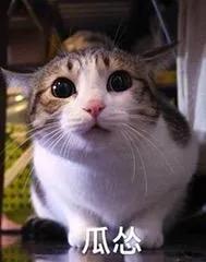 陕西方言只有真正的老陕才能听懂,老陕方言大全