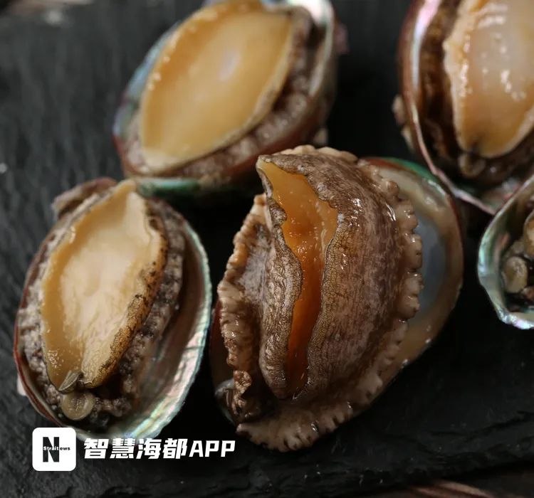 定了！马上开始！