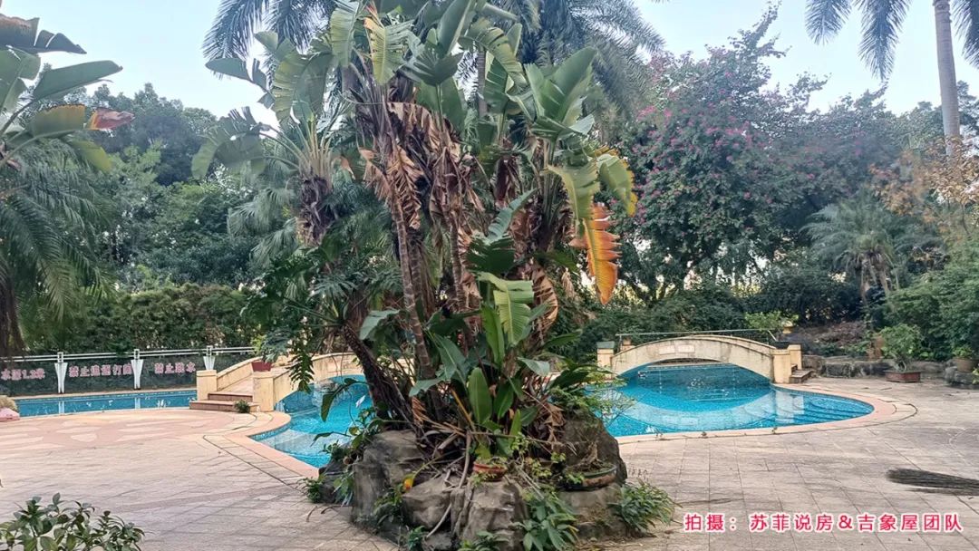 中海锦苑楼盘,中海锦苑新房多少钱一平方