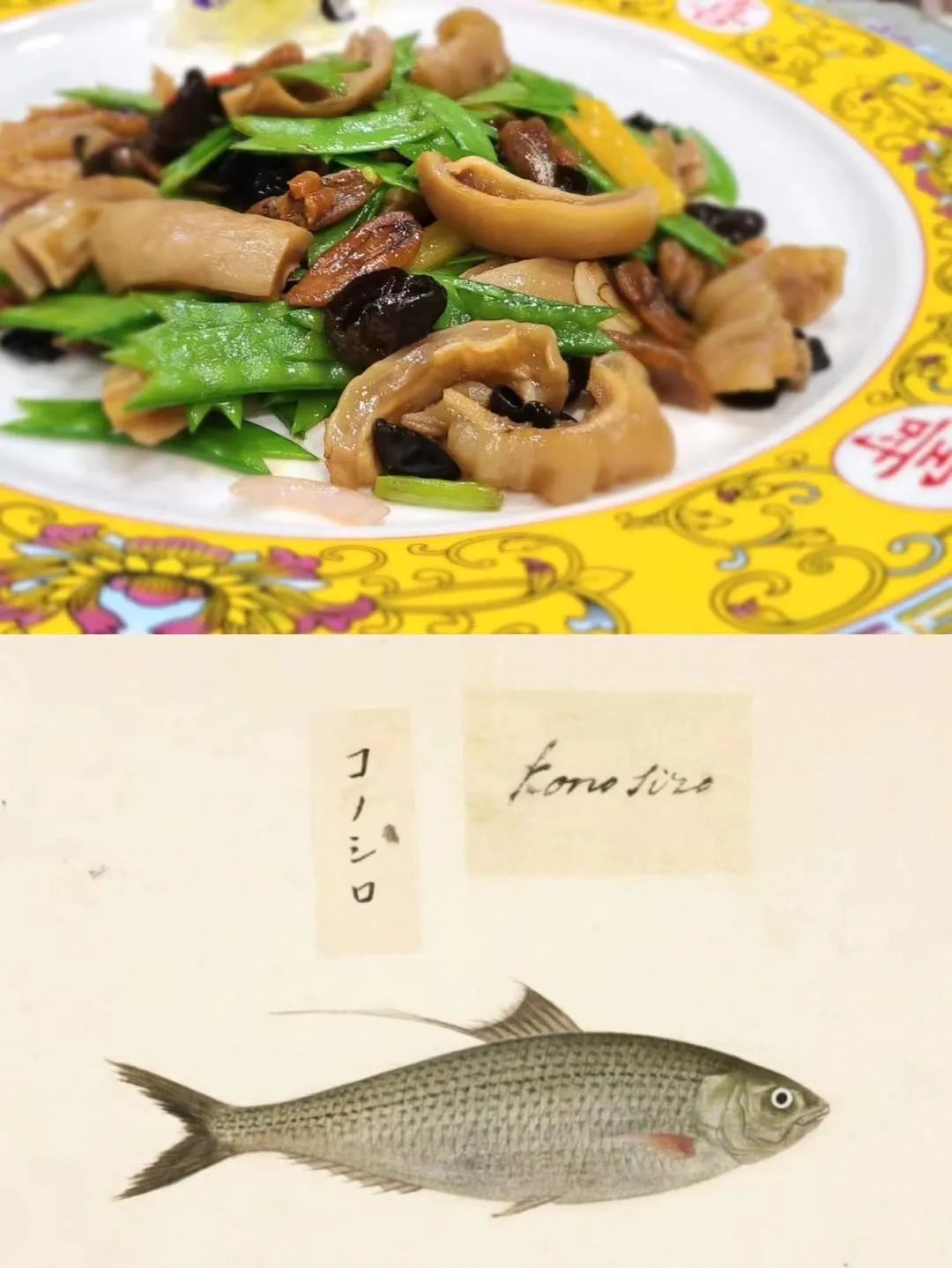 粤菜大师林振国牛腩煲,粤菜名厨林振国