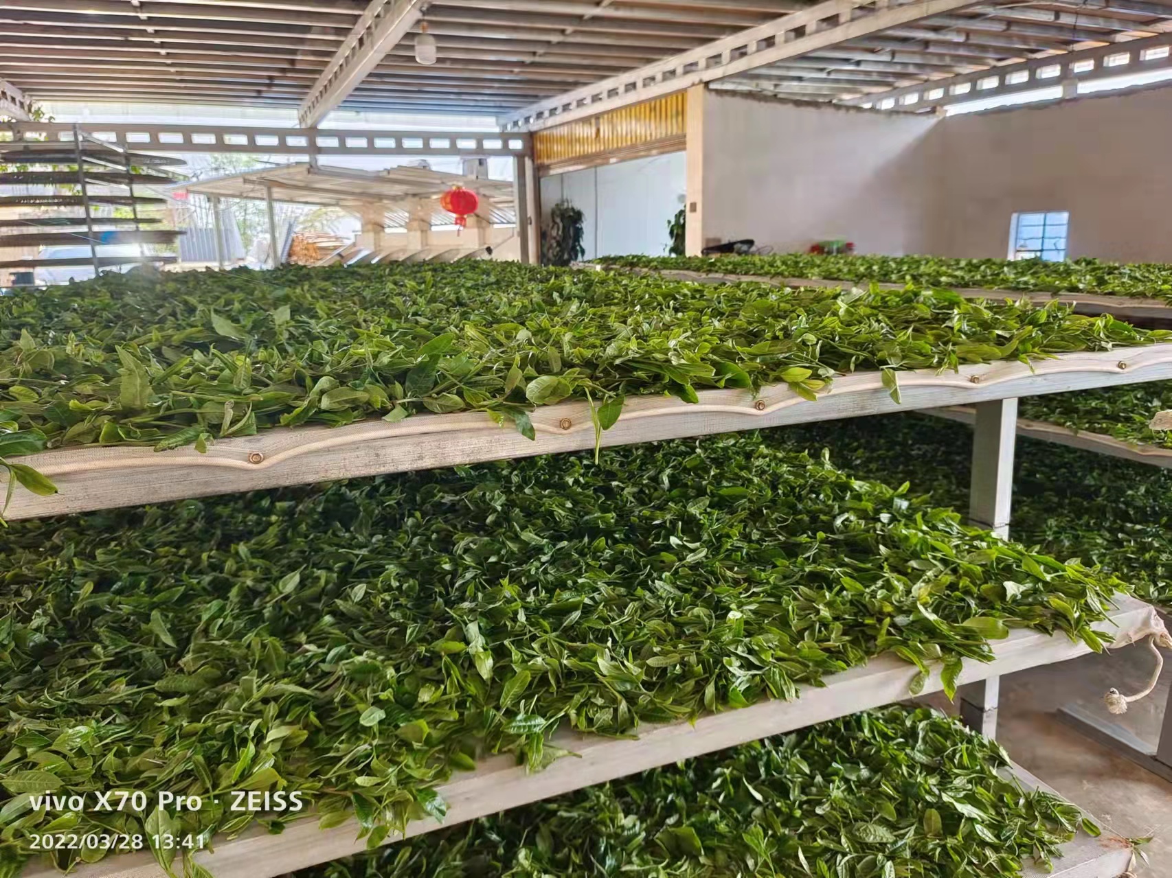 200的茶叶是如何在网店变成2000的,为什么仍说:不赚钱?