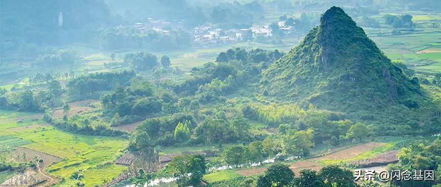 serverless解决的问题,serverless架构优势