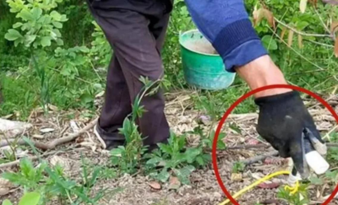 电蚯蚓为什么犯法,电蚯蚓月入过万