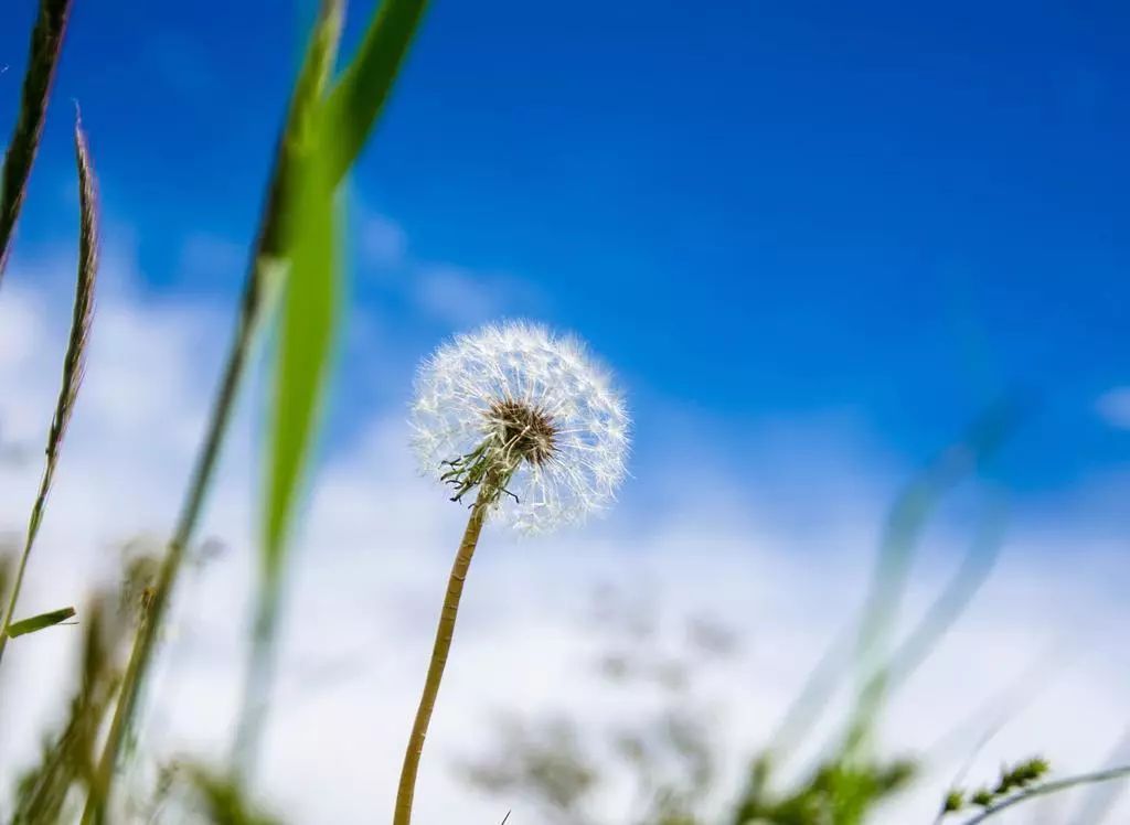 倾情付出和无价情谊,倾情付出无怨无悔