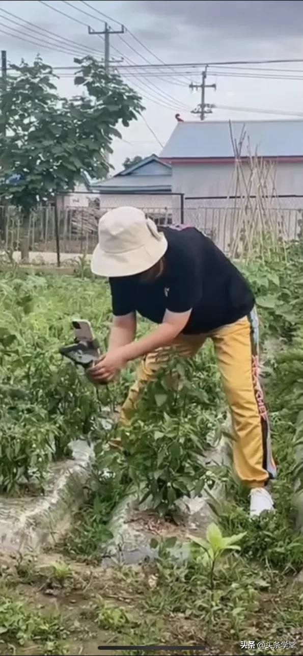 头条学堂免费学习,头条学堂讲师预备培训班