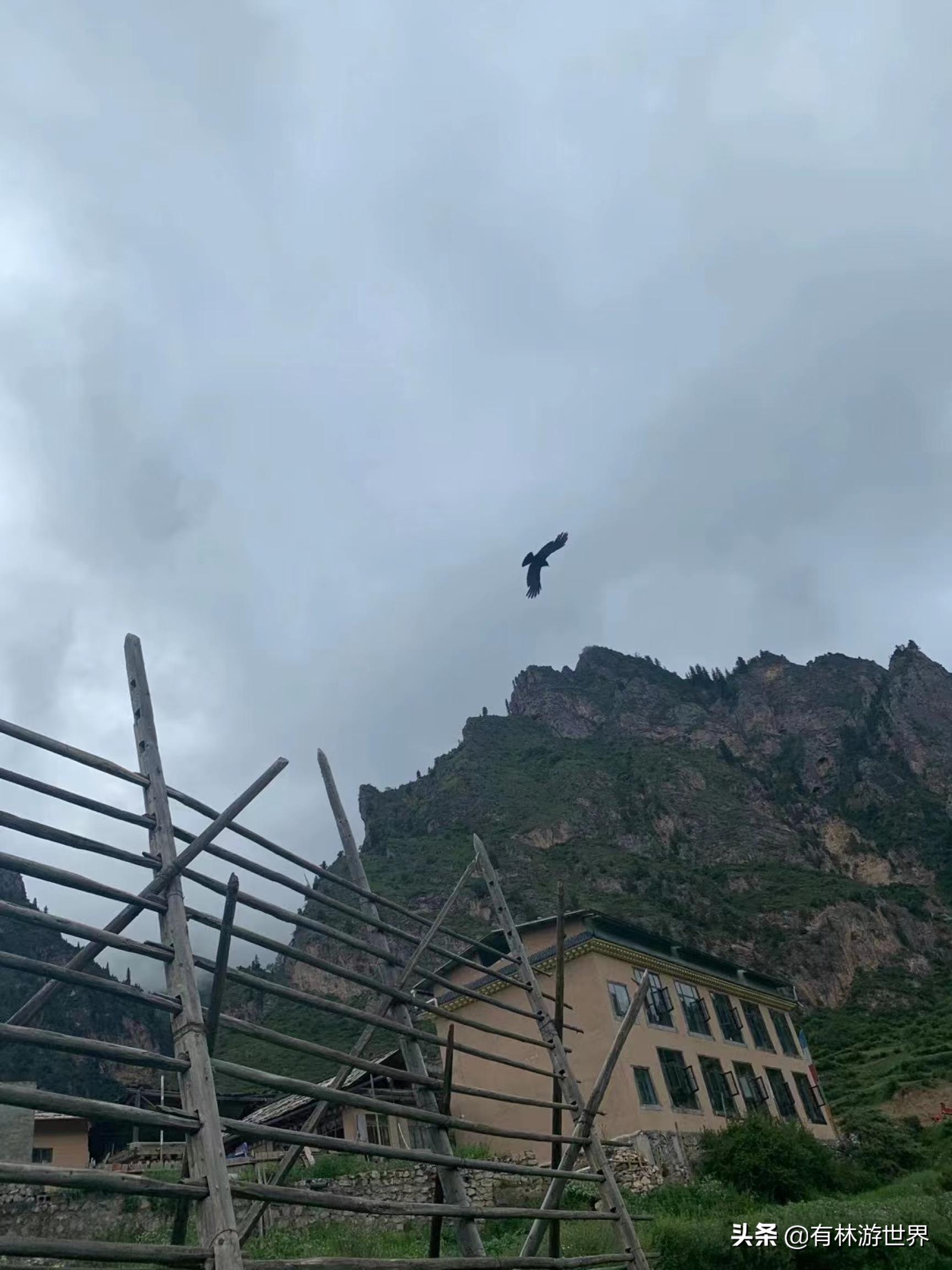 失业两年的旅游人,一个失业在家的旅游业者