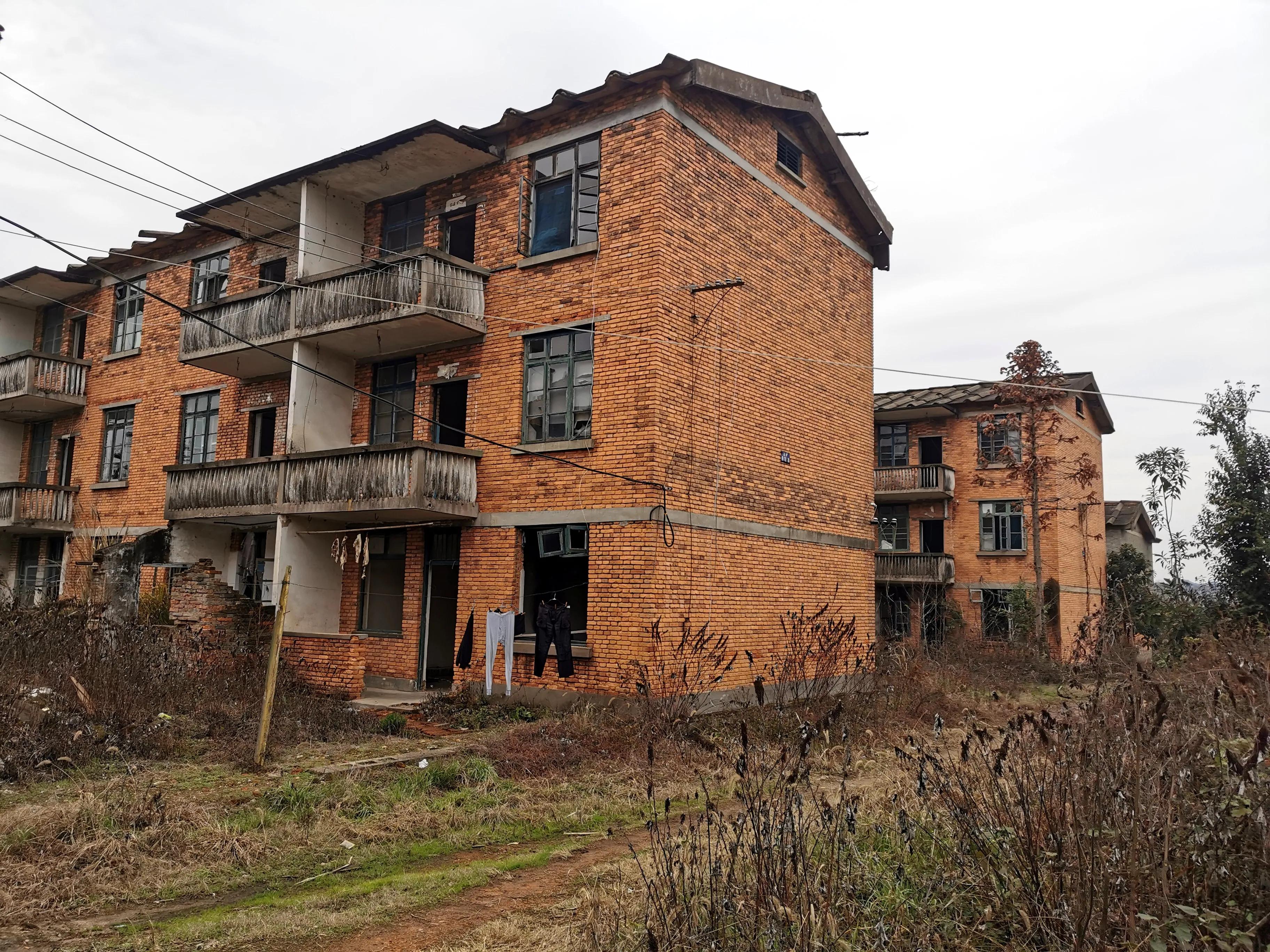 老爸的童年往事,老爸和老妈的故事