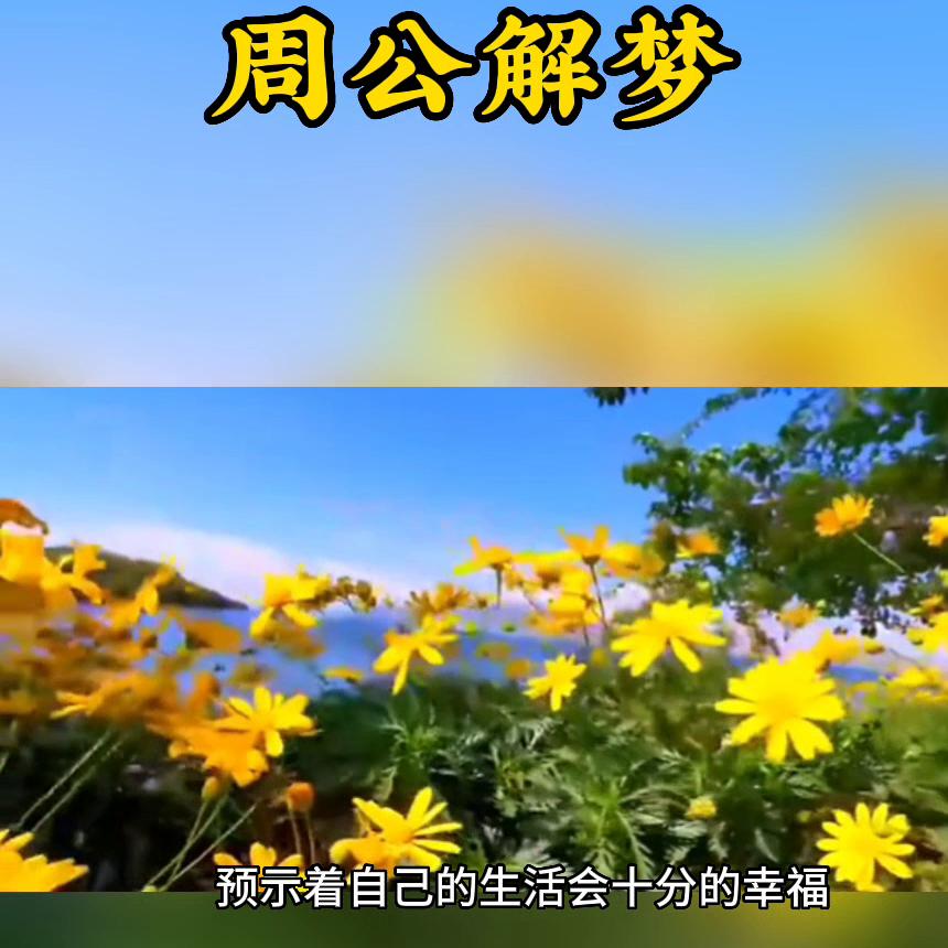 人生如梦周公解梦大全,周公解梦梦到两重梦境