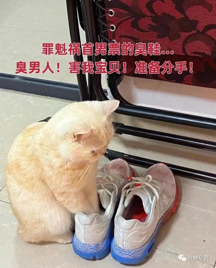 千万不要乱起淘宝名字,千万不要随便起淘宝名