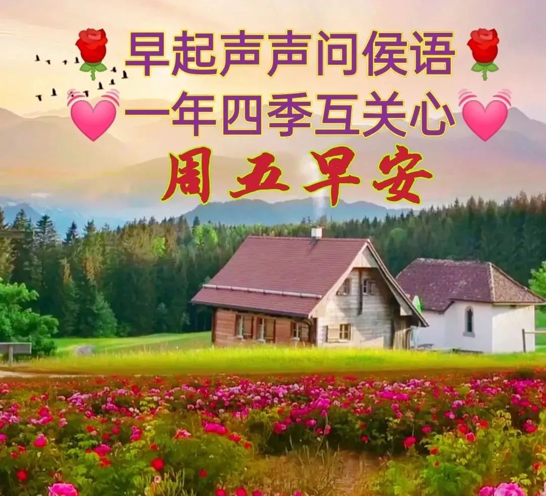 星期三早安创意早上好问候语图片,最新周五早上好问候语表情包