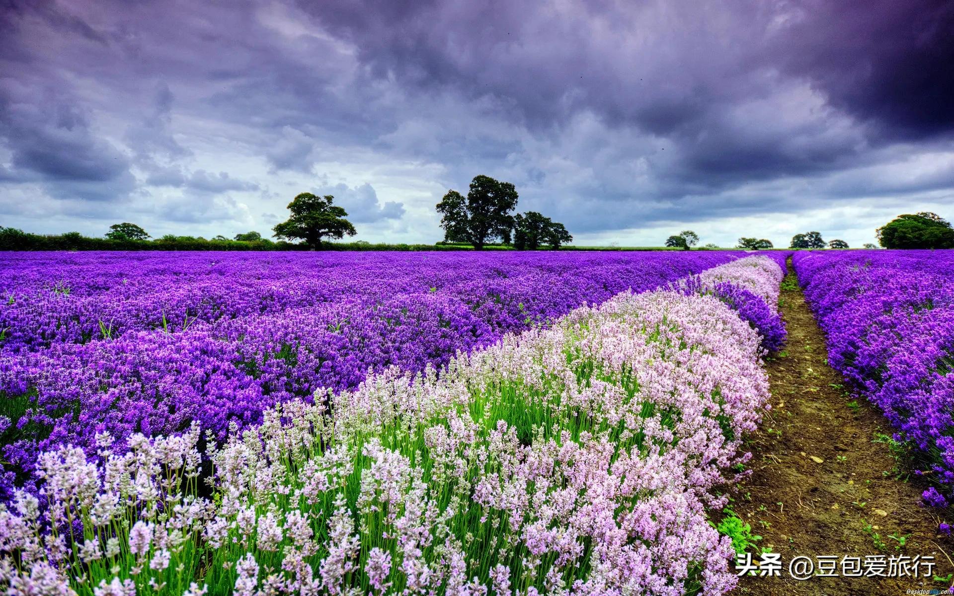 世界上游玩人数最多的地方,世界上旅游景点最好的地方