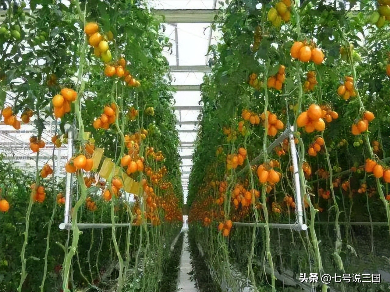 欧盟27国经济总量,欧洲国家的收入水平