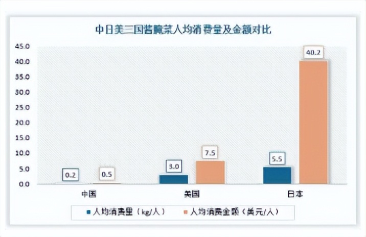 如今做零成本赚钱商机有哪些公司,容易被人忽略却很赚钱