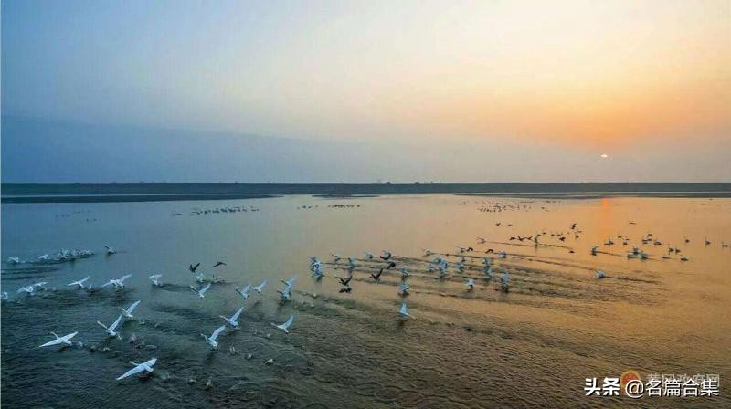 名篇金榜「赤壁诗苑」龙感湖诗词合集(第005期)