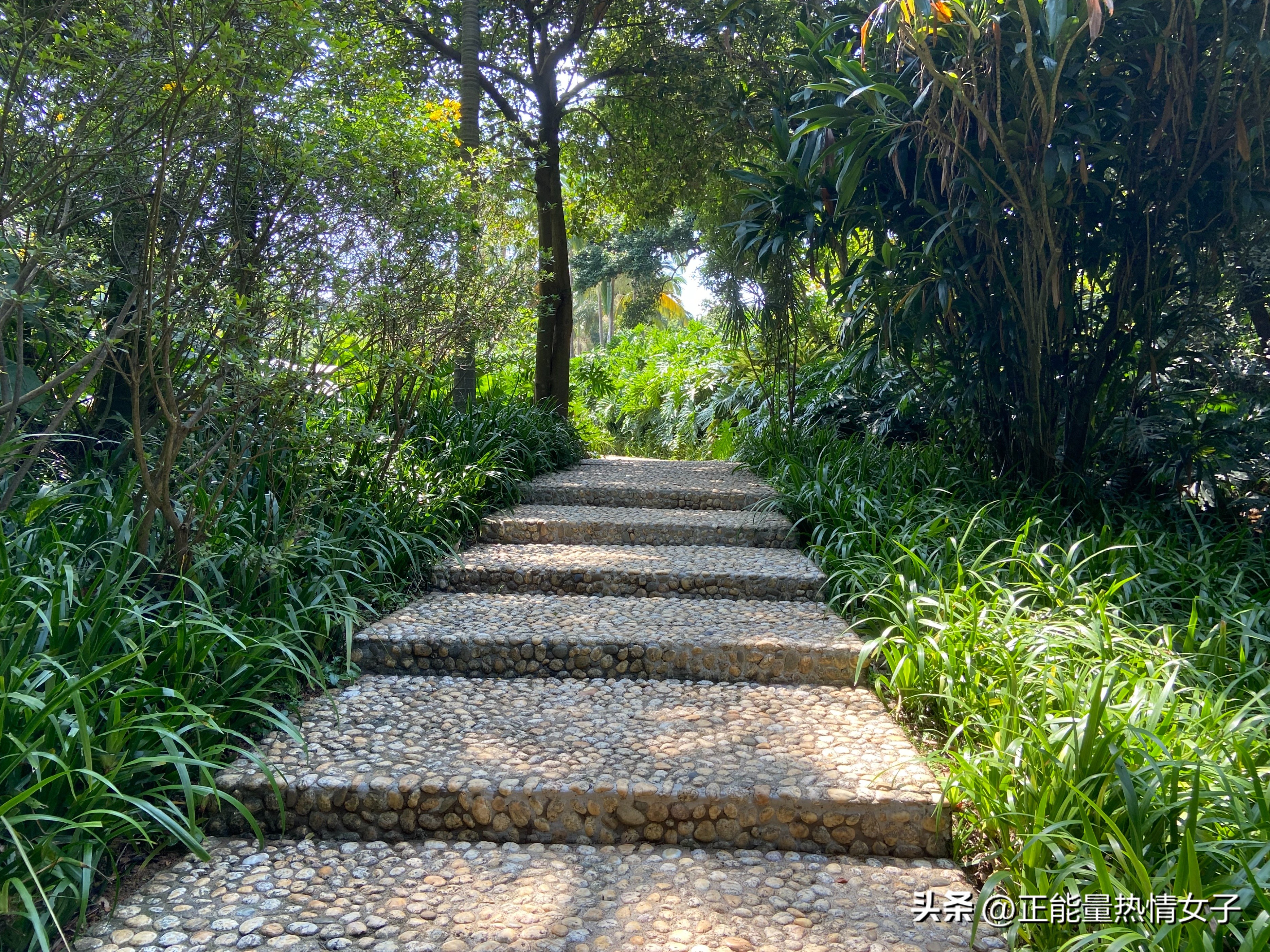 黄飞鸿故乡西樵,祖庙游玩攻略黄飞鸿