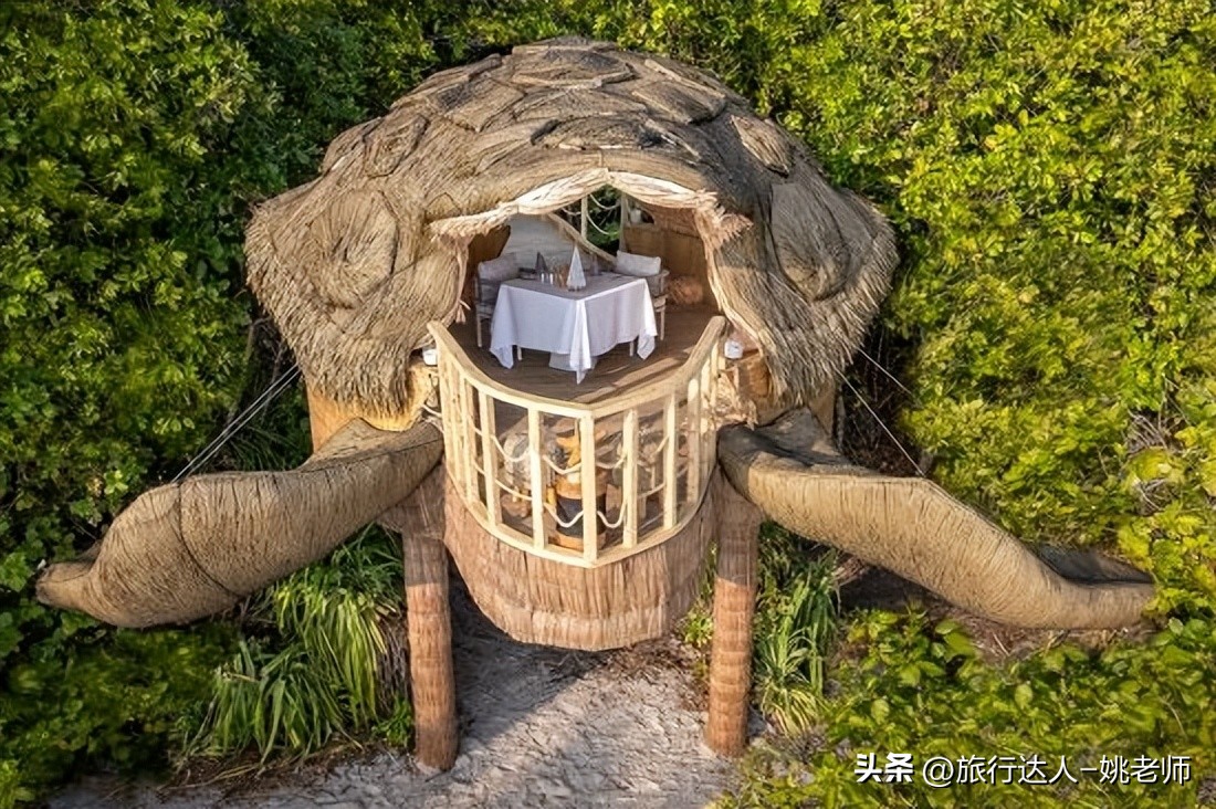 国内有直飞马尔代夫的航班吗 (北京上海直飞马尔代夫复航)